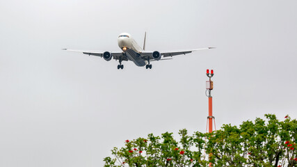 airplane in the park