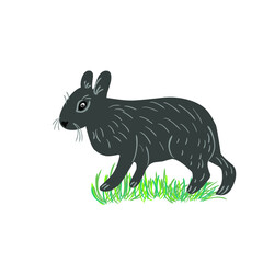 vector hare and rabbit in flat and cartoon style on white background, animal illustration for children, easter bunny