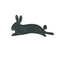 vector hare and rabbit in flat and cartoon style on white background, animal illustration for children, easter bunny