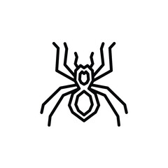 spider line art logo design vector