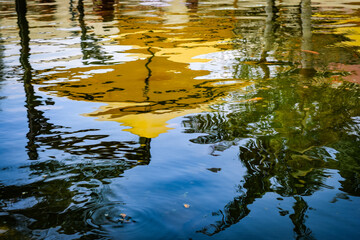 ハワイ島の情景