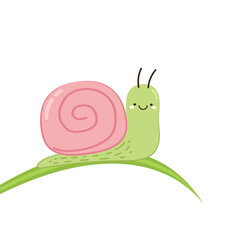 Snail vector. Snail on green leaf. Snail cartoon vector.