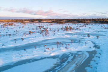 Wintry bog with frozen bog lakes and small pines during a beautiful sunset with pastel colors in Soomaa National Park, Estonia.	