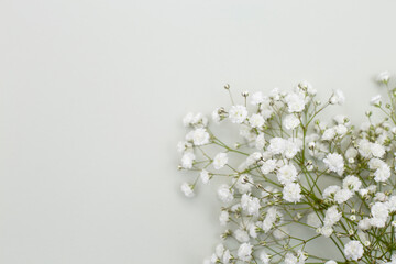 Flower arrangement - white gypsophila flowers on a textured background.