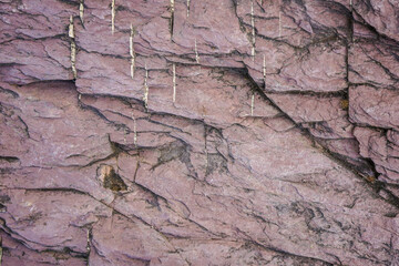 Naklejka na ściany i meble Close up of pink natural rock texture