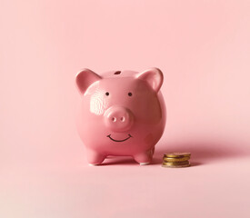 Cute pink piggy bank, close up view. © Zhanna