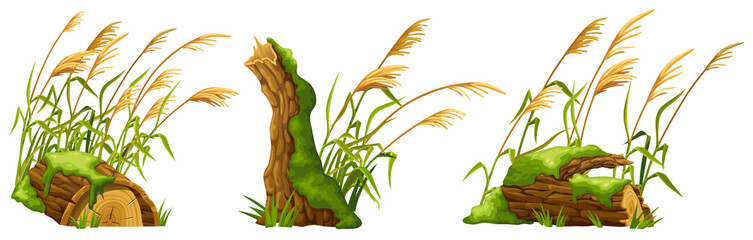 Stump in moss with reeds. Cartoon log, cattail in swamp jungle. Broken tree in fungus and bulrush. Isolated vector element on white background. - obrazy, fototapety, plakaty