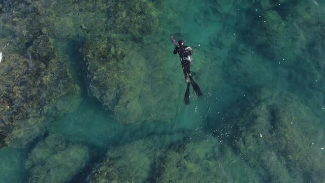 Bird Eye View Shoot of Snorkeling Human in Swimsuit above Coral Reef. Fish Hunter or SpearFisher Swimming and Catching Seafood. Clear Sea, Concept of Adventure and Travel.