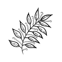 Monochrome Floral botanical isolated Leaf illustration element. Line art hand drawing laurel Leave on white background for frame or border, backdrop, texture, wrapper pattern