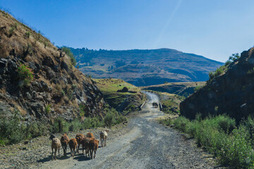 Obraz na płótnie Canvas Panoramic View to the Simien Mountains Green Valley under Blue Sky near Gondar, Northern Ethiopia