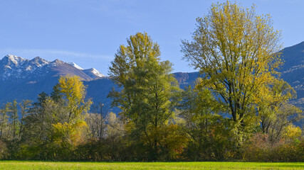 Paesaggio di campagna in autunno, con vista della palude, delle montagne e degli alberi colorati di foglie gialle e rosse