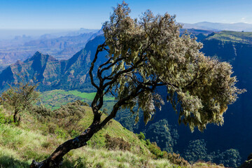 Panoramic View to the Simien Mountains Green Valley under Blue Sky near Gondar, Northern Ethiopia