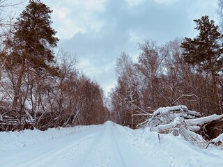 Beautiful landscape of winter snowy	
