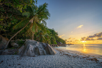 sunset at tropical beach anse georgette on praslin on the seychelles - obrazy, fototapety, plakaty