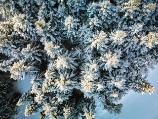 Panoramic winter view of the ski center Vysne Ruzbachy, north Slovakia