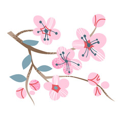 Fototapeta premium Japanese sakura, cherry tree branch with blooming flowers in Japan, cute pink blossoms