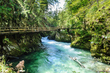 Vintgar Gorge in Slovenia near Lake Bled. Wild nature with river and waterfall in deep canyon. Accessible for tourists on bridges and footbridges.