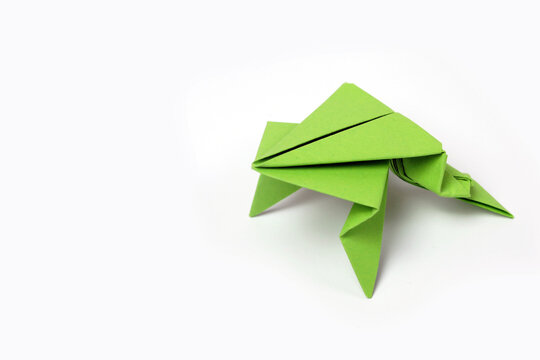 Origami paper frog Stock-Foto | Adobe Stock