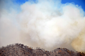 Wildfire in the forest near a resort town.Marmaris, Turkey. Summer 2021