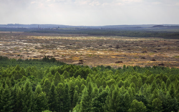 Bledow Desert near Klucze. Poland
