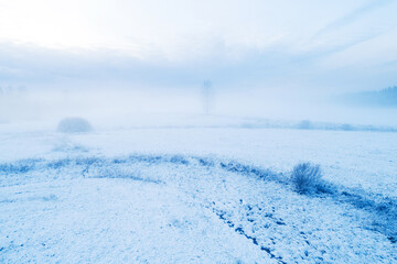 Misty winter landscape with a lonely tree in Estonia, Northern Europe.	