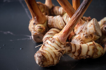 Galangal with dark background