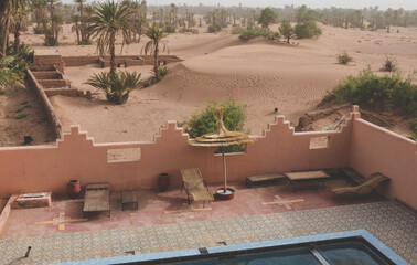 Fototapeta premium oasis in the desert