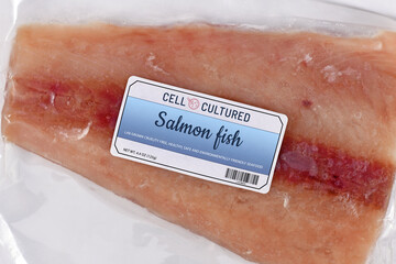 Lab grown cell cultured salmon fish concept for artificial in vitro seafood production with frozen...