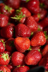 Lots of freshly picked strawberries
