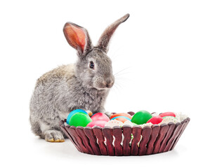 Rabbit and Easter eggs.