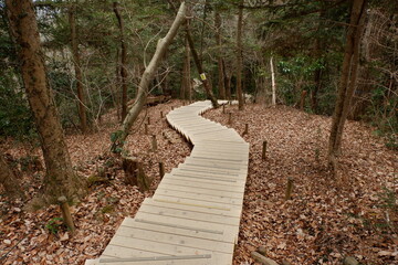 Mountain road of Mt. Takao. Hiking spot Mt. Takao is located in Tokyo, Japan.
