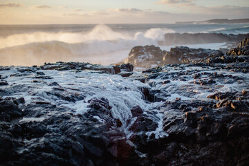 Iceland, lava rock waves