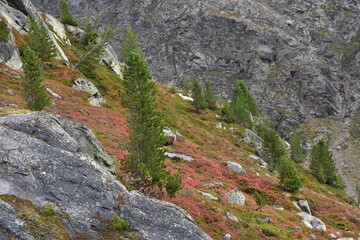 Natura 2000 Ötztaler Alpen alpine Natur