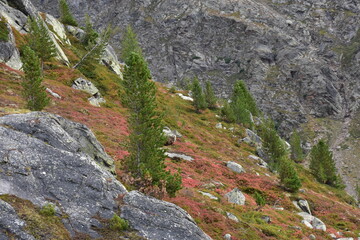 Natura 2000 Ötztaler Alpen alpine Natur