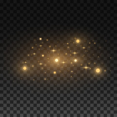Abstract golden flying lights isolated on dark transparent background. Glare and flare. Glittering stars and and blurry spots. Vector illustration. EPS 10