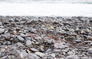 seaside with grey stone beach