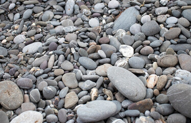 seaside with grey stone beach