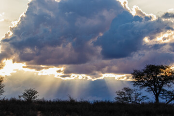 Sunset in the Kgalagadi