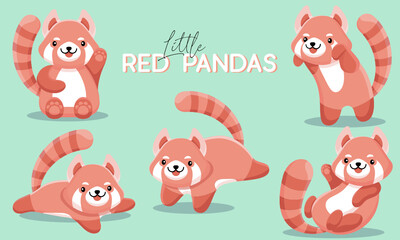 Little Red Pandas