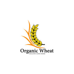 organic wheat logo vector template.