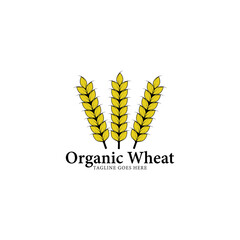 organic wheat logo vector template.