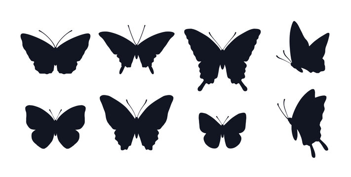 143 716 Best シルエット Images Stock Photos Vectors Adobe Stock
