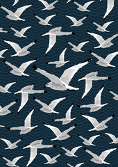 Fototapeta premium Gull