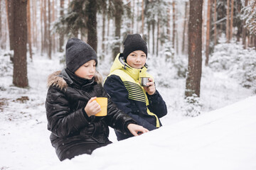 Fototapeta na wymiar Happy teenage boys drinking tea from thermos and talking sitting together on log in winter snowy forest. Hot beverage in cold weather. Children having picnic in winter season outdoors. Local travel.