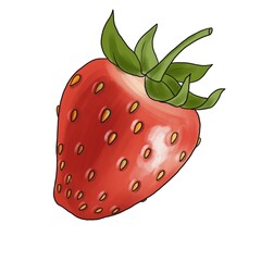 Obraz premium drawing red berry of strawberry , hand drawn illustration
