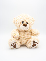 Teddy bear - children soft toy on white background