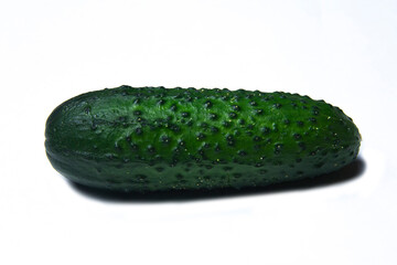 Isolated green cucumber on white background 