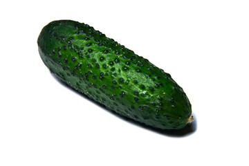 Isolated green cucumber on white background 