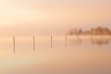 A misty morning during an amazing colorful sunrise with reflections over the pond, creating an magical and mysterious atmosphere in nature. The poles give a nice reflection in the water.