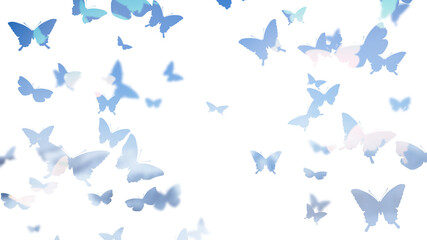 Obraz na płótnie Canvas 美しい蝶の群れのイラスト　シルエット　装飾背景